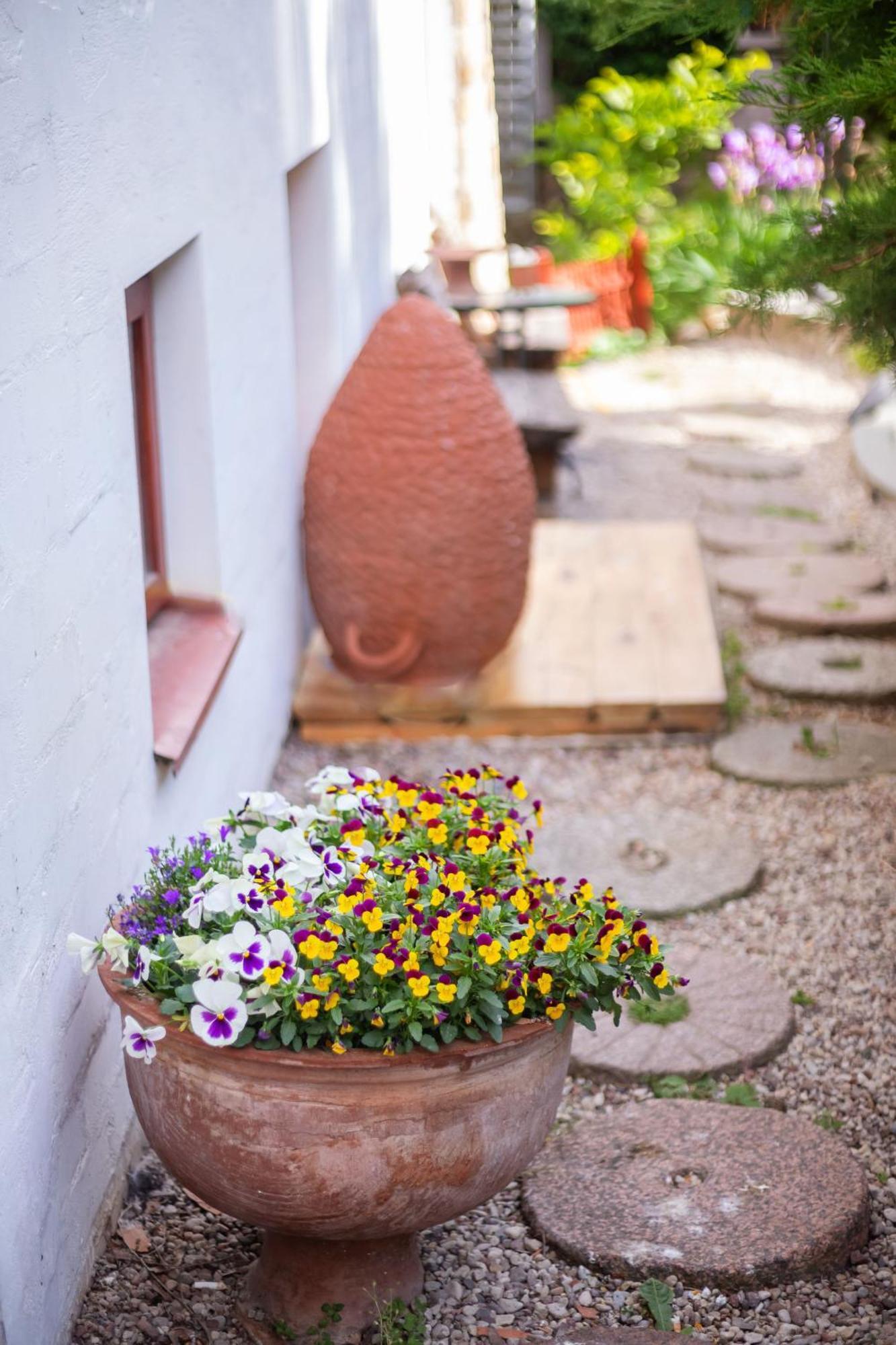 ヴィリニュス House Of Sun Bed & Breakfast エクステリア 写真